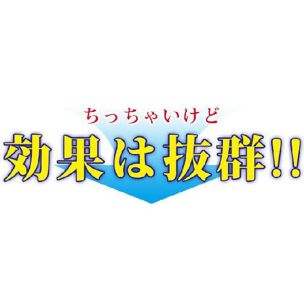 Flexo 携帯用 消臭剤 消臭スプレー 除菌スプレー 匂いとり 臭いとり ニオイとり におい消し ニオイ消し 布製品 タバコ 衣類 ペット
