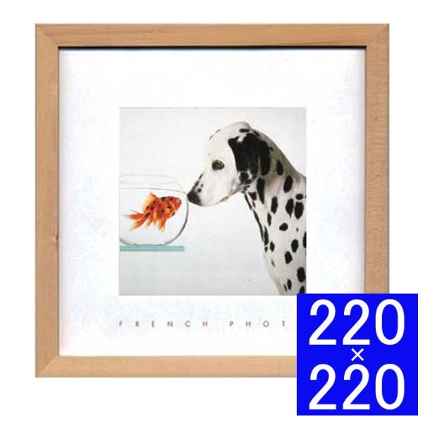 A[gpl  tHgpl ؐ A[gt[ ʐ^ Ǌ|CeA Ǌ|A[g ʐ^pl 킢   