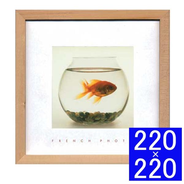 tHgA[gt[ A[gt[  Ǐ z Ǌ|CeA Ǌ|A[g t[A[g fBXvCt[ CeAt[ ʐ^