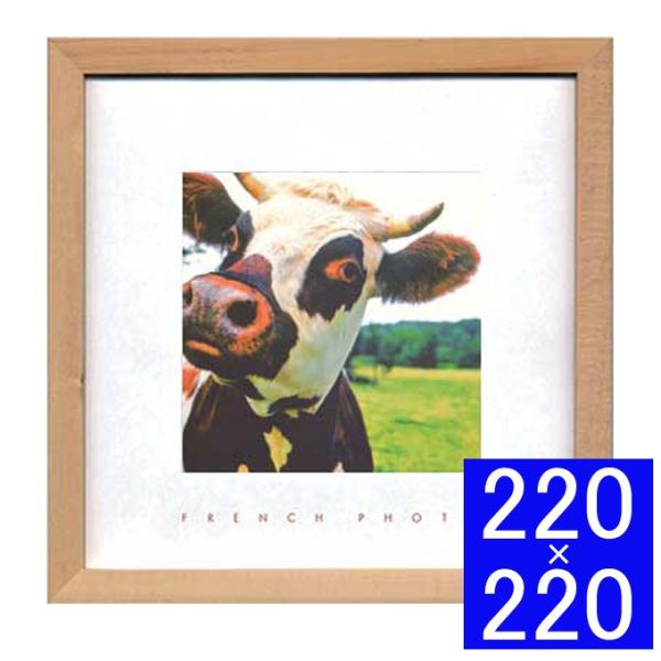 tHgA[gt[ A[gt[ t[ Ǐ z Ǌ|CeA Ǌ|A[g t[A[g fBXvCt[ CeAt[