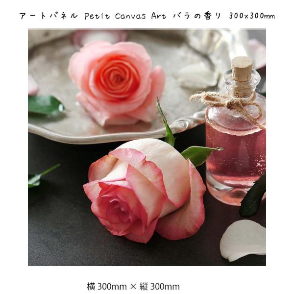 A[gpl Petit Canvas Art Ǌ| G 300mm   c300mm Ǐ z |X^[ t[ pl   LO Mtg 킢
