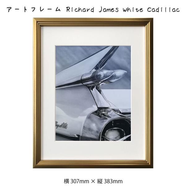 A[gt[ Richard James White Cadillac `[h W[X G G Ǌ| Ǐ ʐ^ A[g|X^[  mN mg[ S[h 307