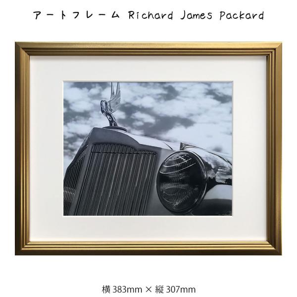 A[gt[ Richard James Packard `[h W[X G G Ǌ| Ǐ ʐ^ A[g|X^[  mN mg[ S[h 383 307mm
