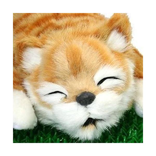 笑い転げる猫　イエロー