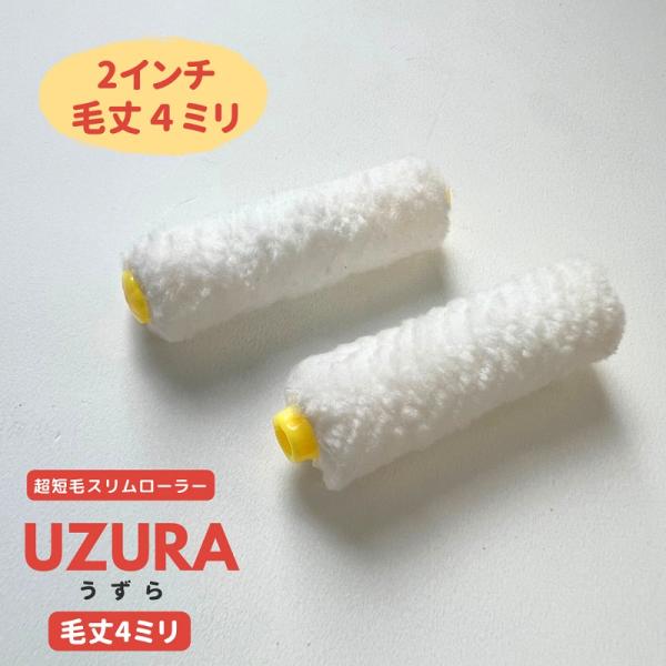 UZURA-うずら-　超スリム ミニスモールマイクロファイバーローラー 2インチ／毛丈4ｍｍ・10本