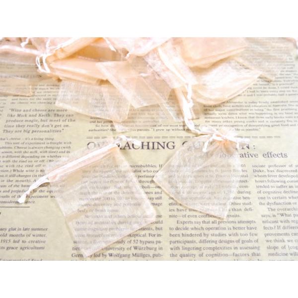 WG[ I[KW[lp 90 9x6.3cm T[ P[X |[` В uC_  p[eB[ ANZT[