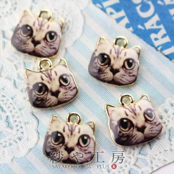 `[ L AJV[gwA Jt uE 15mm 5 CXg sAX`[ 1.5cm ANZT[p[c p[c