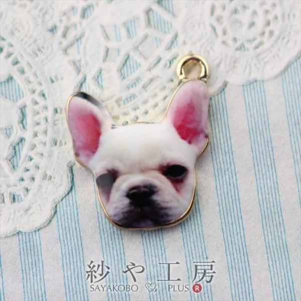 `[ pO Jt zCg 20mm 1 AM[Ή CXg sN`[  sAX`[ ANZT[p[c