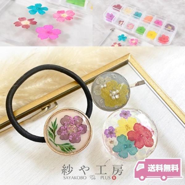 レジンやハーバリウムにピッタリのドライフラワーパーツです。色々なカラーをちょっとずつ使用したい方にオススメ♪色ごとにケースに入れてあるので保管も楽♪是非色々なアレンジで楽しんで下さいね♪【内容詳細】ドライフラワー 封入パーツ 5枚花  mm...