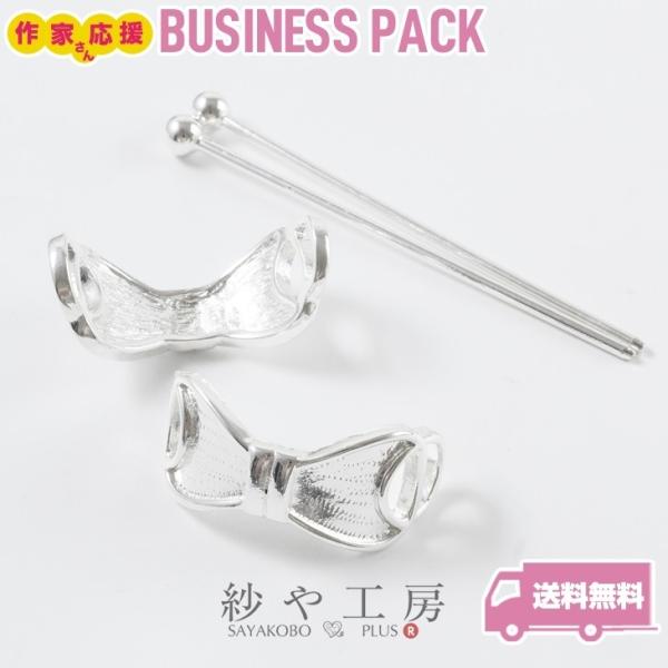 }WFXe t ϑސFh~ AM[Ή { zCgVo[ ya17mm 10 wAXeBbN ANZT[p[c W ≮