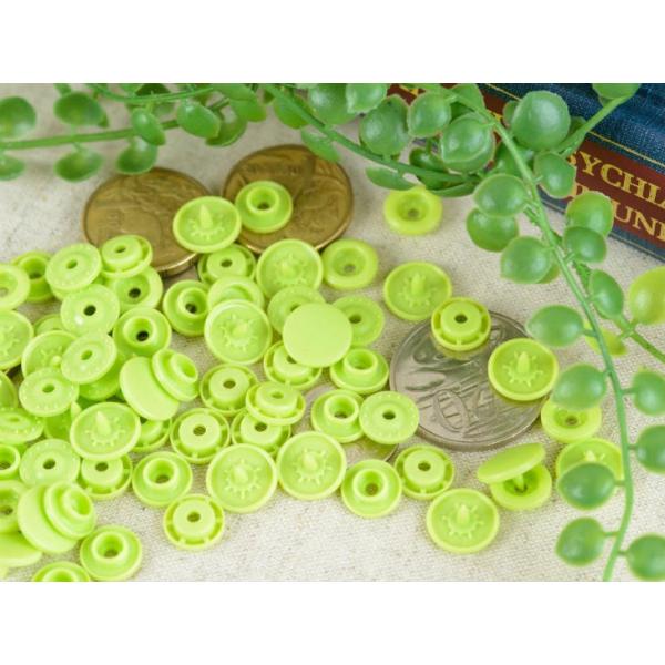 vX`bNXibv{^(T-5) }bgJ[ 30gi12mm tbVO[j nhvC[ |ޗ {^