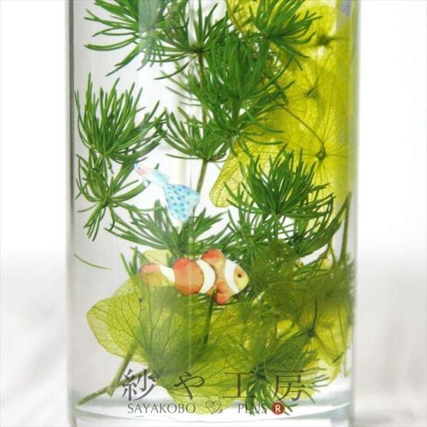 Harbarium club(ハーバリウムクラブ) ハーバリウムシール 熱帯魚 88 