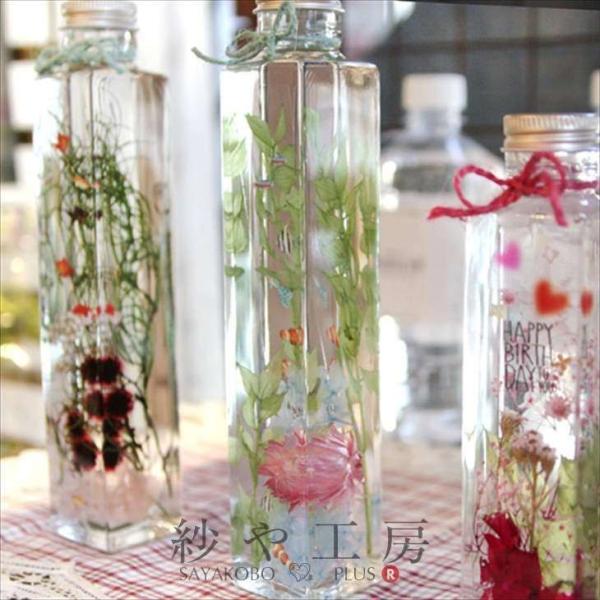 Harbarium club(ハーバリウムクラブ) ハーバリウムシール 熱帯魚 88 