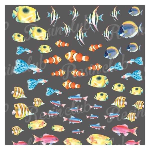 Resin Club レジンクラブ レジン 封入 シール 埋め込みレジンシール 熱帯魚アソート カラフル 1枚 両面加工 水彩 サカナ Fish Buyee Buyee บร การต วกลางจากญ ป น ซ อจากประเทศญ ป น