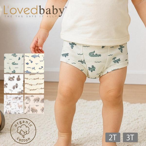 オーガニックコットン トイレトレーニングパンツBoxers L'ovdbaby