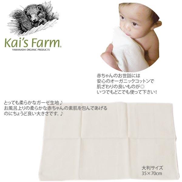 前田源商店 オーガニックコットン バスガーゼ きなり ベビー ガーゼハンカチ ガーゼ グッズ 赤ちゃん おしゃれ 子供 コットンガーゼ 42 007 01 Os ハーモネイチャーオンライン 通販 Yahoo ショッピング
