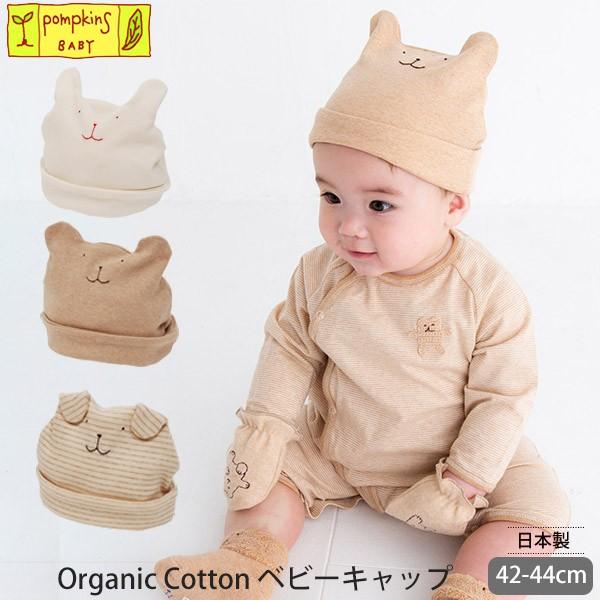 I[KjbNRbg xr[Lbv pompkinsBABY