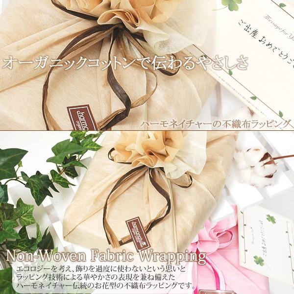 不織布ラッピング ナチュラル メッセージカード可 Harmonature Wrap Cl Nat ハーモネイチャーオンライン 通販 Yahoo ショッピング