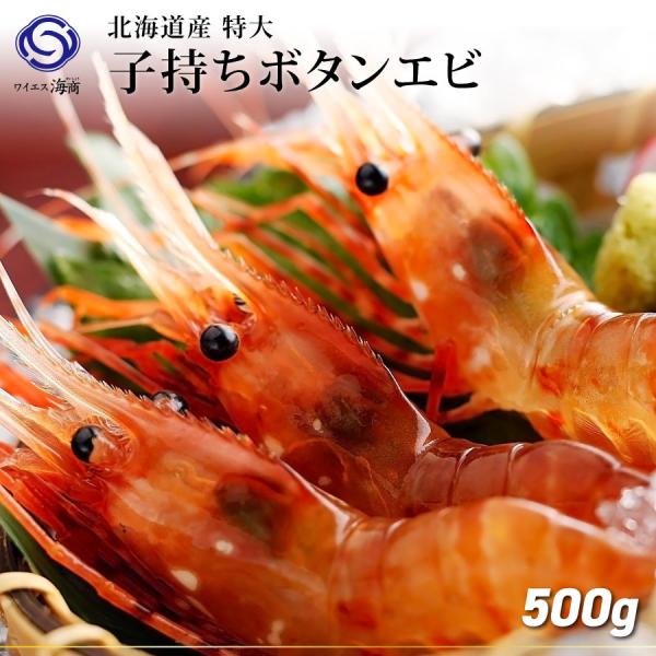 お歳暮 ギフト特大子持ち ぼたんえび 500g 10 12尾 Eb002 ワイエス海商 北海道からの贈り物 通販 Yahoo ショッピング