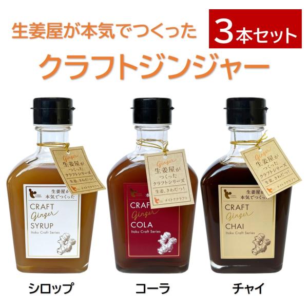 クラフトジンジャー 200ml 3本セット イトク食品 シロップ コーラ チャイ 国産 カクテル ジンジャーシロップ 生姜 Craft Ginger 生姜湯 温活 ギフト プチギフト