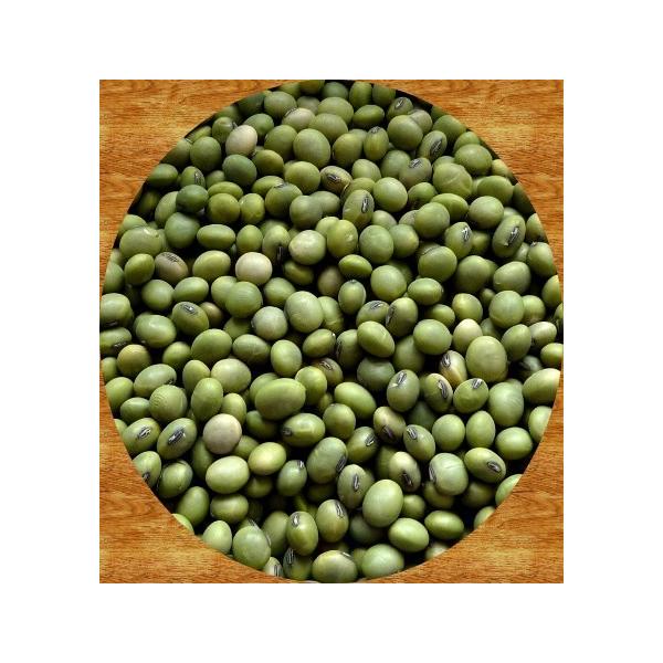 青大豆  500g メール便　送料無料　2025年産 　山形県産