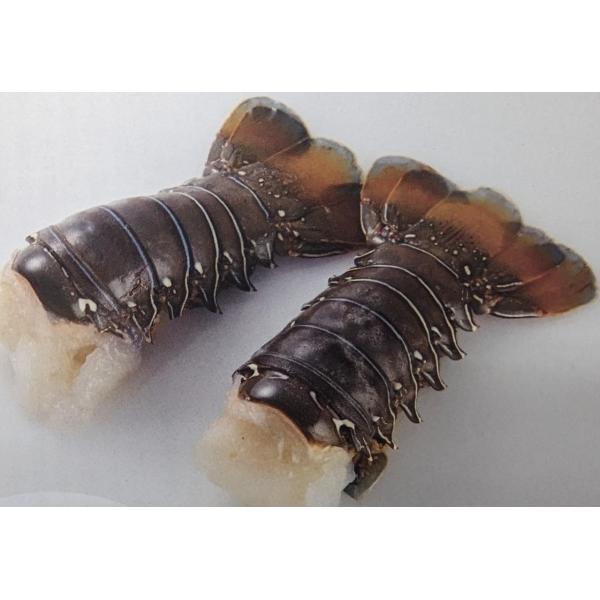 ysmileclub_lobster4oz