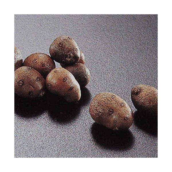 むかごとは、山芋の地上部分にできる直径１センチくらいの大きさの球芽のことです。 栄養価が高く、日本人に不足しがちな鉄分やカリウム、マグネシウムなども豊富です。ゆでたり、ご飯に入れたり、焼いたり、揚げたり、様々なお料理に※冷凍商品は、沖縄及び...