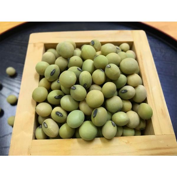 山形県産　令和6年産　国産を　卸値で販売。送料も個数により　ゆうパックにてなるべく安くなる発送方法を選び　販売致します。その名の通り、「砂糖がいらないほど甘みが強い」と言われている青大豆です。希少品種のため、あまり出回っていません。甘味だけ...