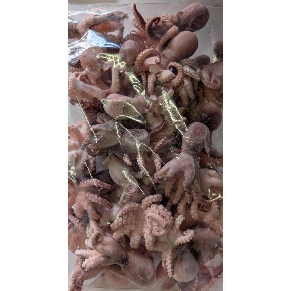 柔らかく、やさしい色合いにボイルされて、素味ですので、さまざまな用途でご使用頂けます。個数単位で素早く盛り付けが可能です。 *子持ちではございません規格（内容量）:1袋　1kg保存方法:要冷凍ー18℃以下　365日賞味期限:解凍後要冷蔵10...