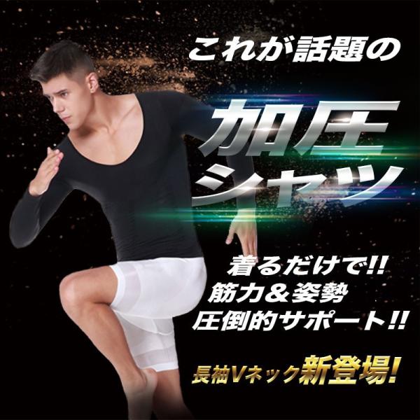 Vc Y  Ci[ jO  TVc _CGbgVc ␳ Ci[ 24ԋ؃g