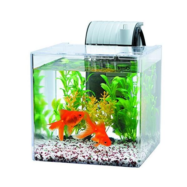 金魚 飼育セット 水槽の人気商品 通販 価格比較 価格 Com