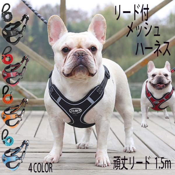 ・通気性に優れたメッシュ生地 ・ダブルDリングバックル設計で安心 ・反射板付きで視認性アップ ・頑丈リード、丈夫な登山用ロープを採用 ・亜鉛合金ロックで耐久性アップ ・快適なスポンジ滑り止めクリップ 【商品詳細】・カラー:ブラック/レッド/...