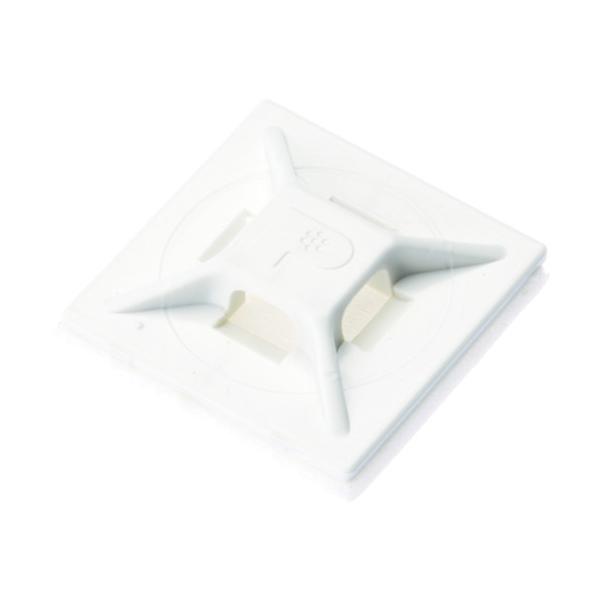 TR phECbg }Egx[X ANnSe[vt   (100)