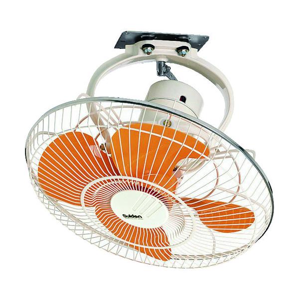 TR XCf H [^[^Cv (vX`bNnl) 45cm 100V #M  ΍ ObY X|[c AEghA O Od 