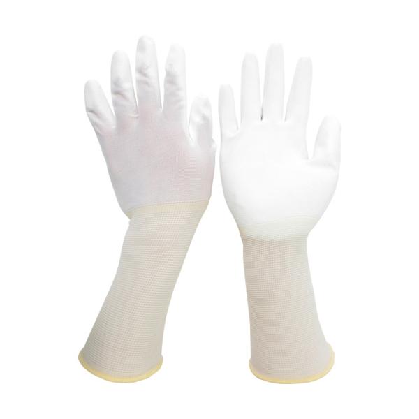 TR ~hS ᔭo O  (̂ЂR[g) 10o LL   () 1