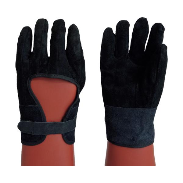 TR ^x SܗpvJo[   () 1o