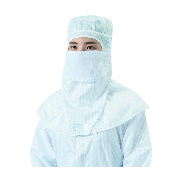 TR uXg }XN (K[ht) --t[  (11)    () 1