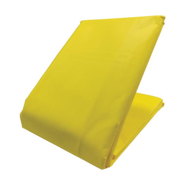 TR ^JCN J[gbNV[g 1.8m×2.1m CG[