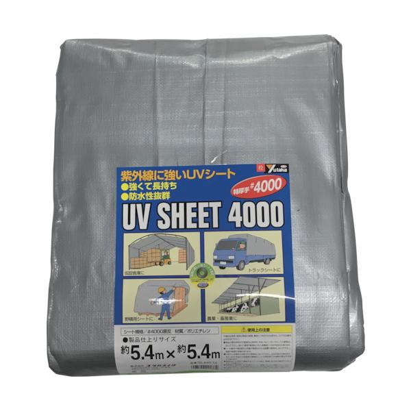 TR ^JCN V[g #4000Vo[V[g 5.4×5.4