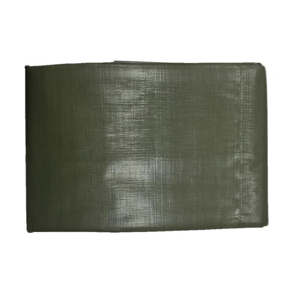 TR ^JCN #4000 ODO[V[g 3.6m×5.4m