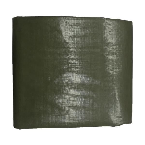 TR ^JCN #4000 ODO[V[g 5.4m×5.4m