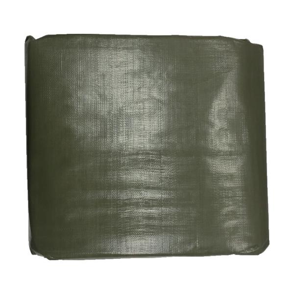 TR ^JCN #4000 ODO[V[g 5.4m×7.2m