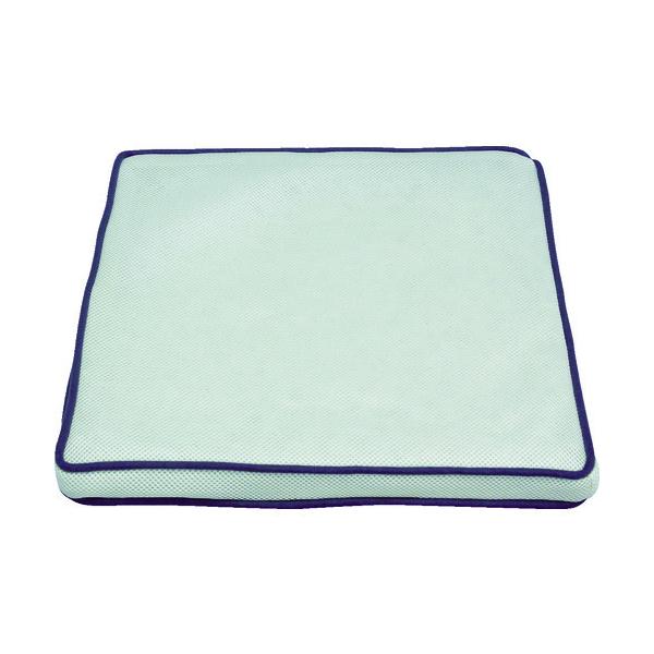 TR IRIS 536348 GA[NbV CAR-4343