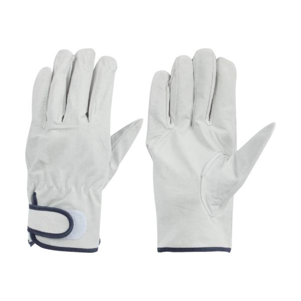 TR g ؊v NXg}WbNe[vt L   () 1o