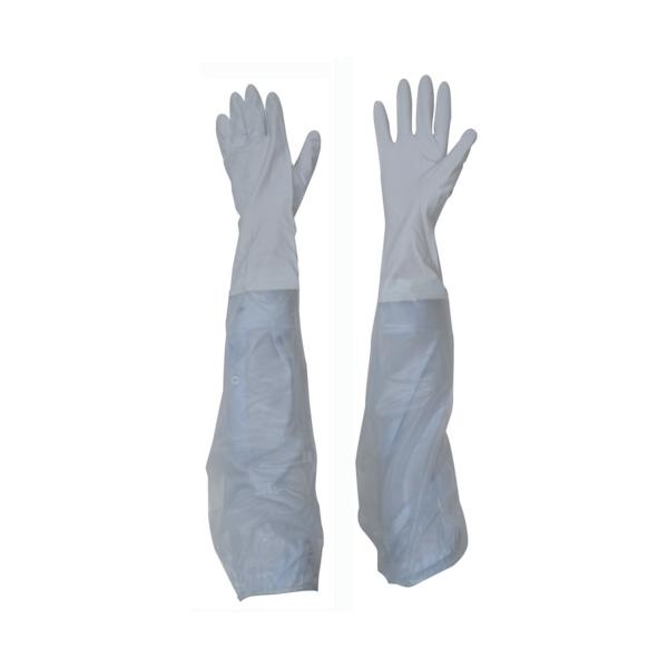 TR g rjX^[rJo[t S   () 1o