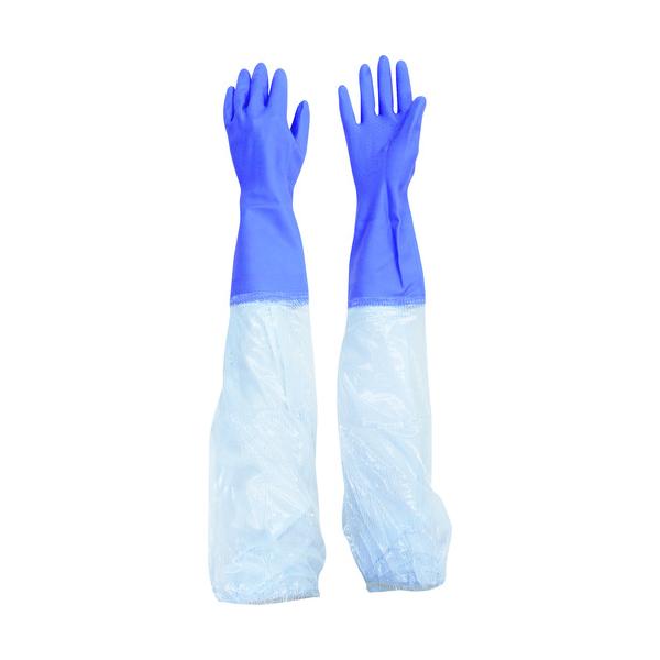 TR rjX^[ rJo[t500\tg M   () 1o