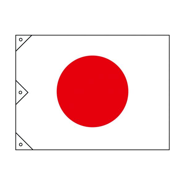 TR �Ώ\�� ���͊� (���̊�)  1300×2100mm �z��