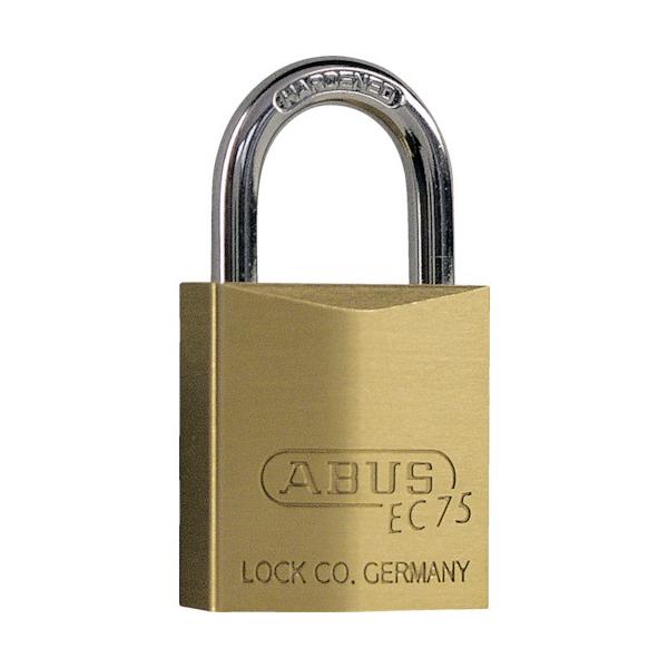 TR ABUS ^J싞 EC75-30 fBvV_[  1