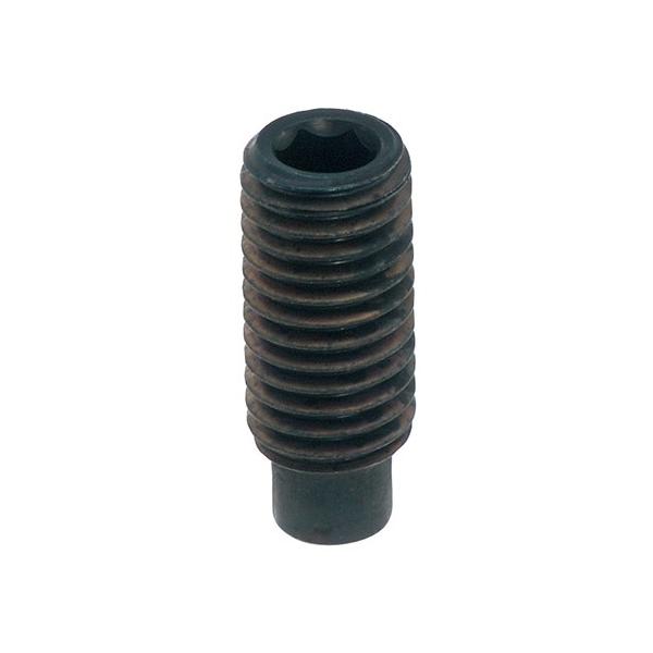 Zpt~߂˂ _ M3X8 y300{z z[ ˂ ClW 6p 6JN bolt nut ˂ lW