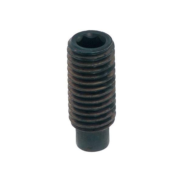 Zpt~߂˂ _ M6X40 y10{z z[ ˂ ClW 6p 6JN bolt nut ˂ lW